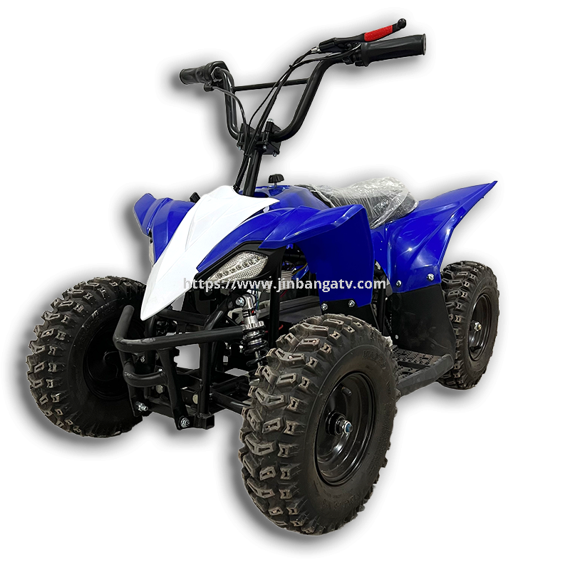 Electric ATV 