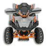 Electric ATV