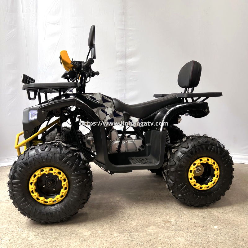 300CC ATV