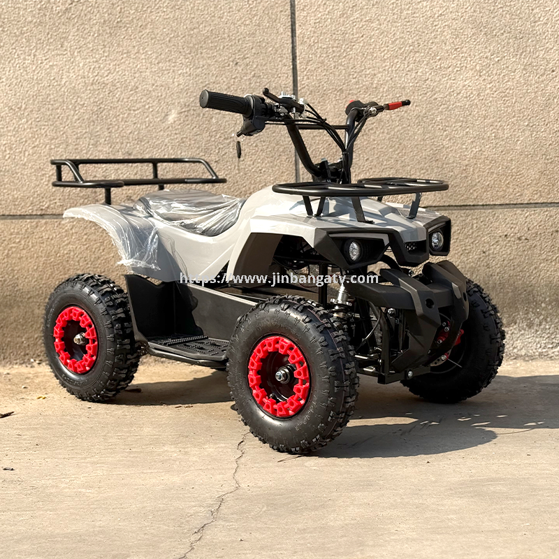 Electric ATV 