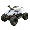 125CC ATV