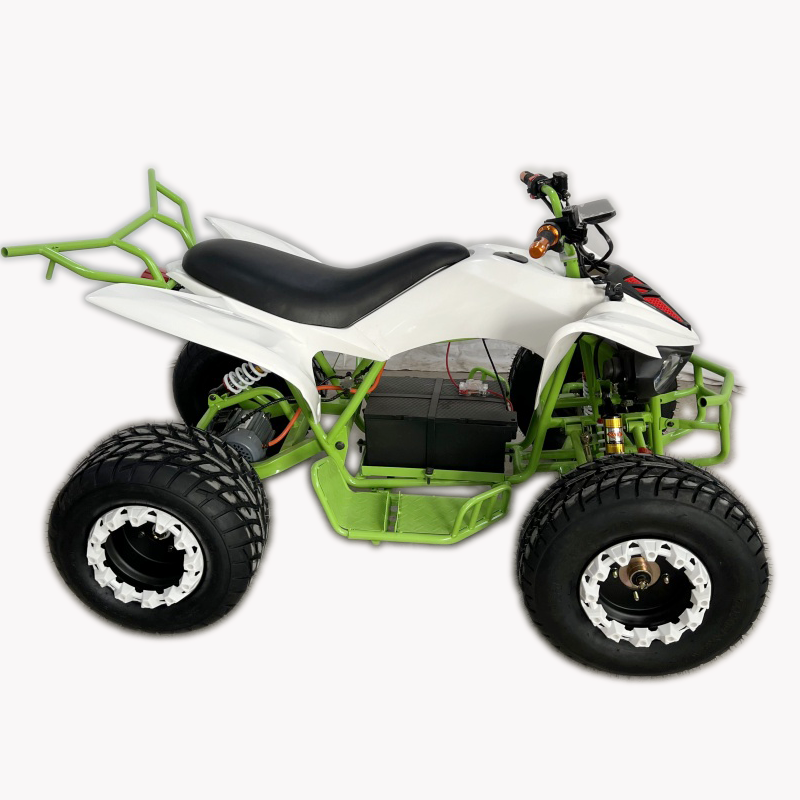 Electric ATV 