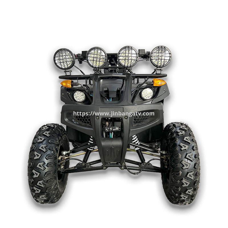 Electric ATV 