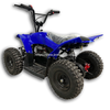 Electric ATV 