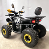 300CC ATV