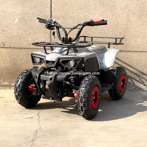 Electric ATV 