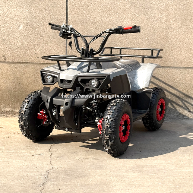 Electric ATV 