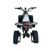 110cc Snow ATV