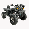 Electric ATV 