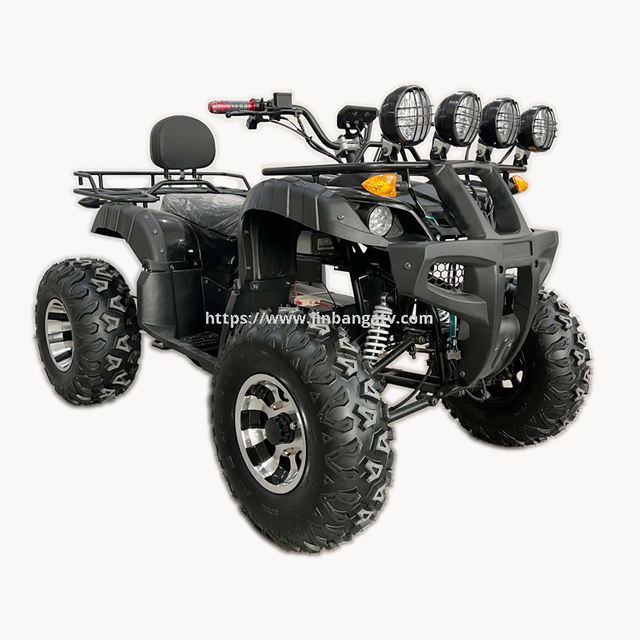 Electric ATV 