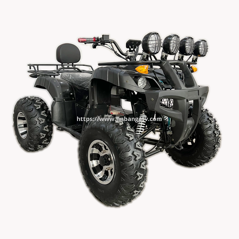 Electric ATV 