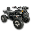 Electric ATV 