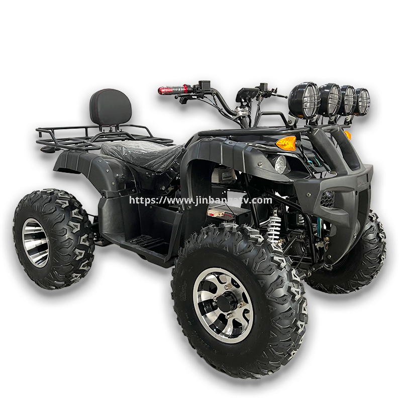 Electric ATV 