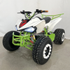 Electric ATV 