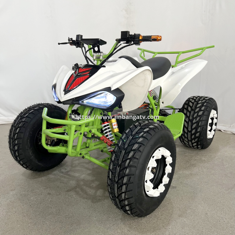 Electric ATV 