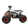 125CC ATV
