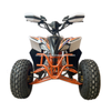 125CC ATV