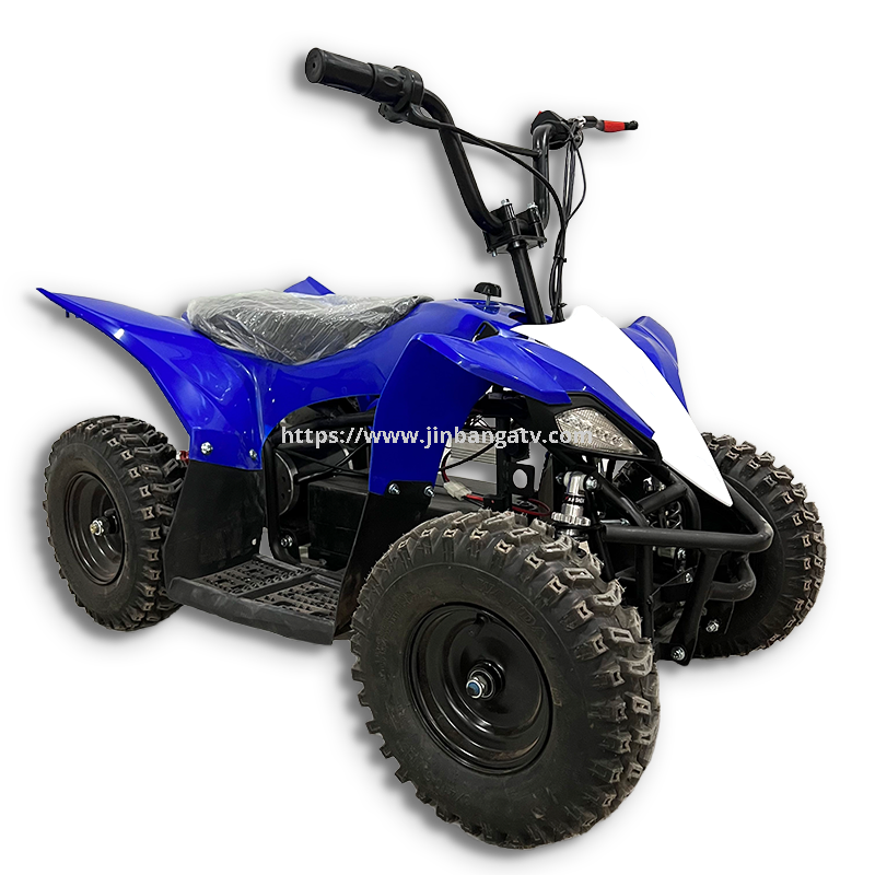 Electric ATV 