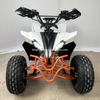 Electric ATV