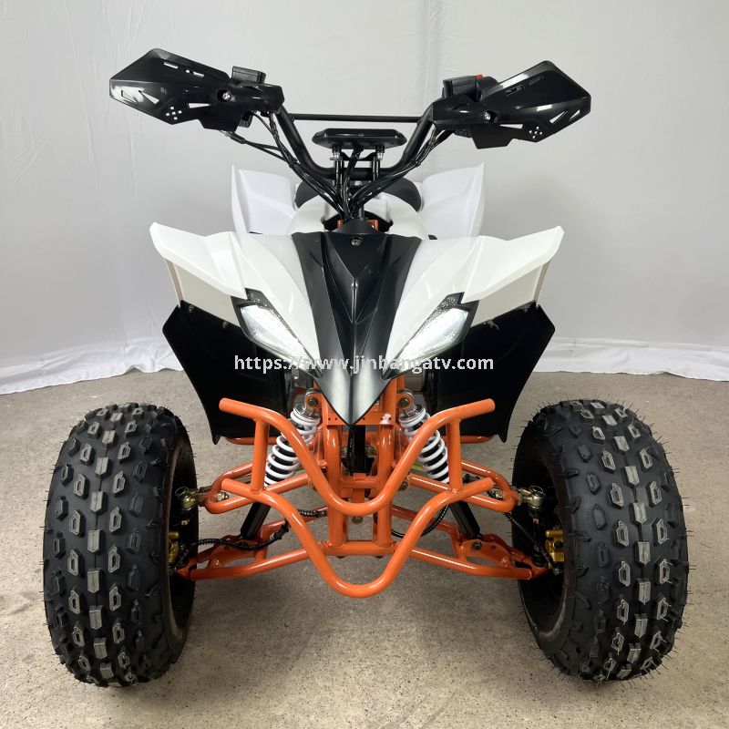 Electric ATV