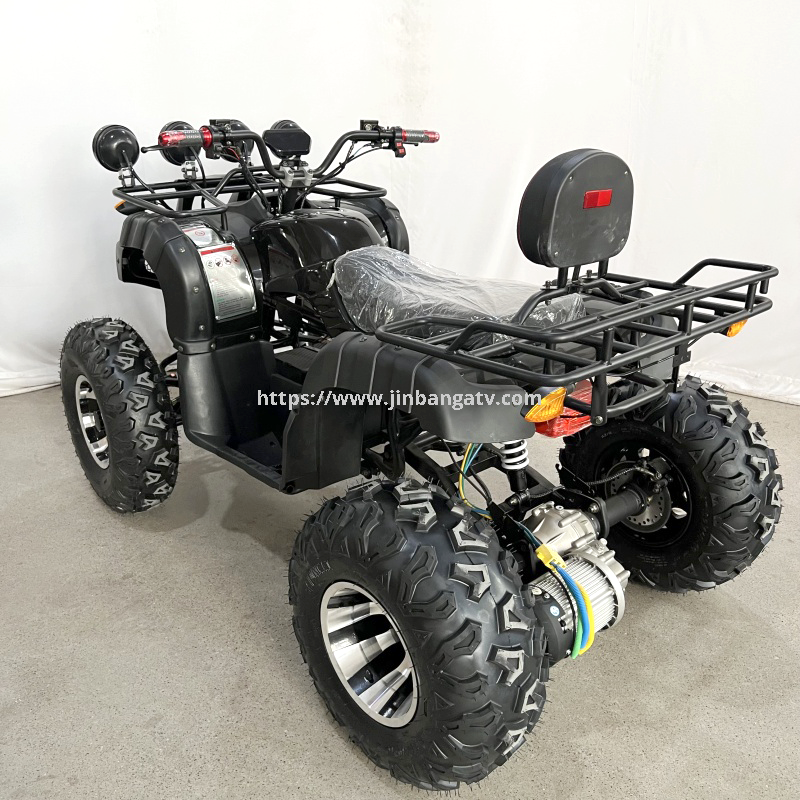 Electric ATV 