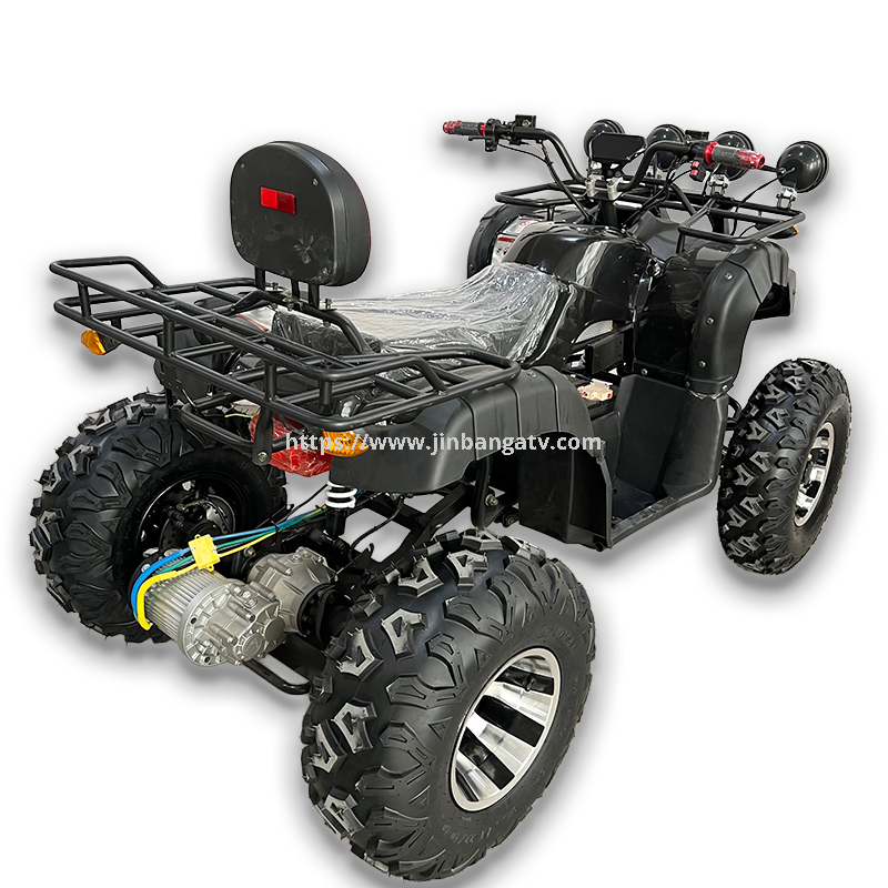 Electric ATV 