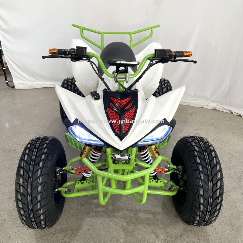 Electric ATV 