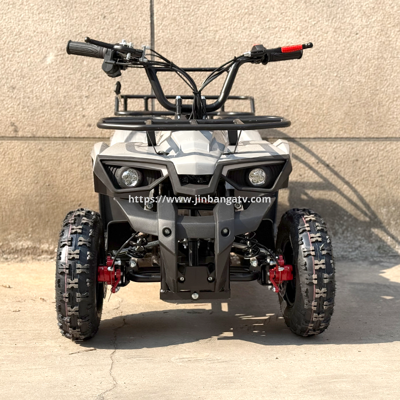 Electric ATV 