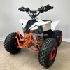 Electric ATV