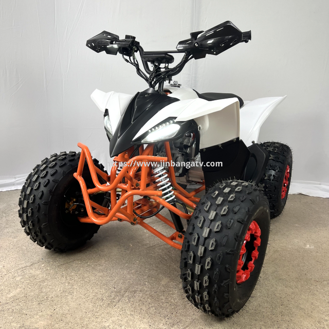 Electric ATV