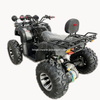 Electric ATV 