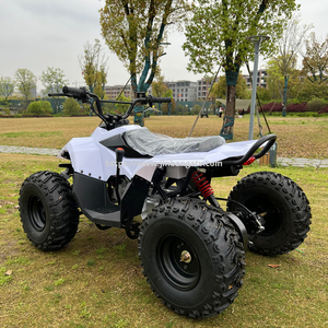 110CC ATV