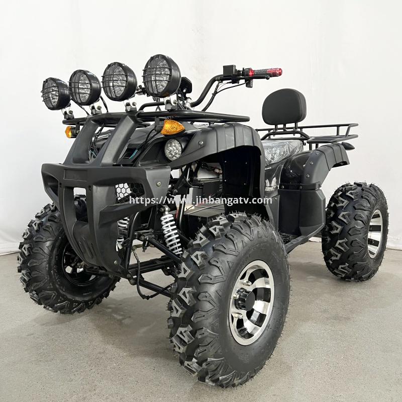 Electric ATV 