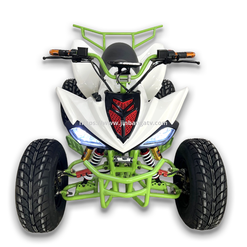 Electric ATV 