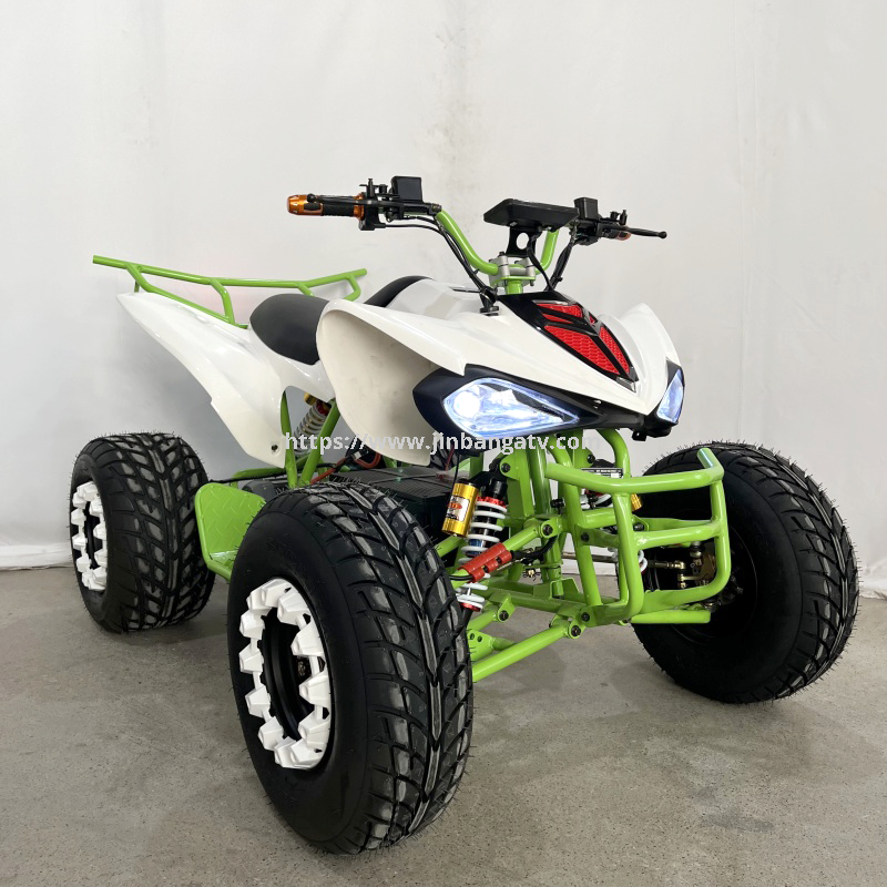 Electric ATV 
