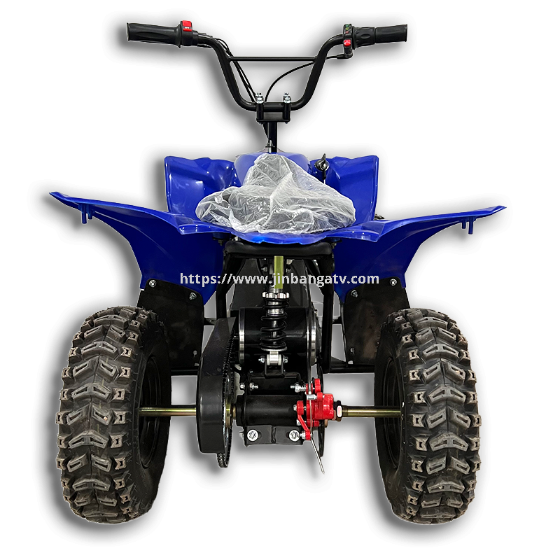 Electric ATV 