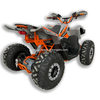 Electric ATV