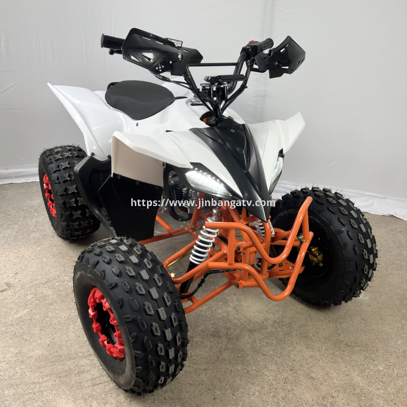 Electric ATV